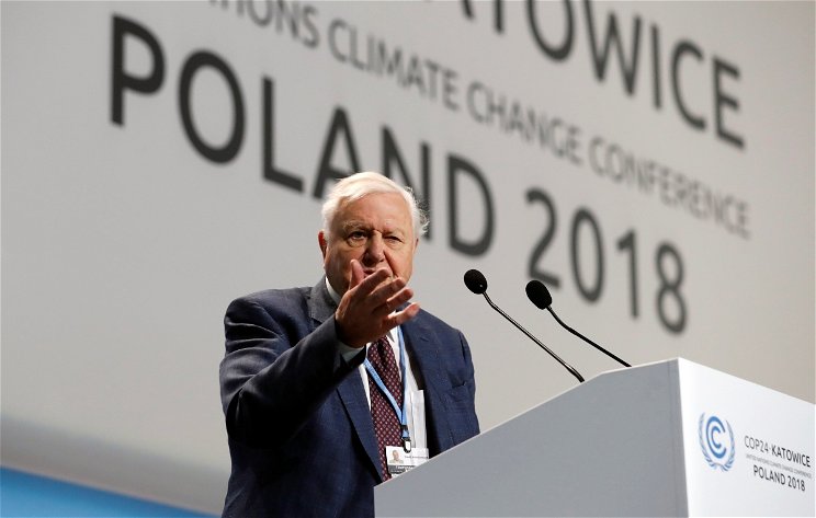 David Attenborough: Civilizációnk összeomlása a küszöbön áll