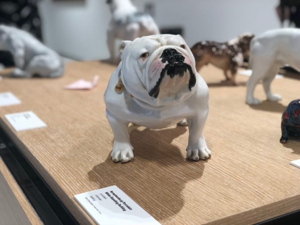 Hozzád milyen kutya illik? New York új múzeumában kiderül