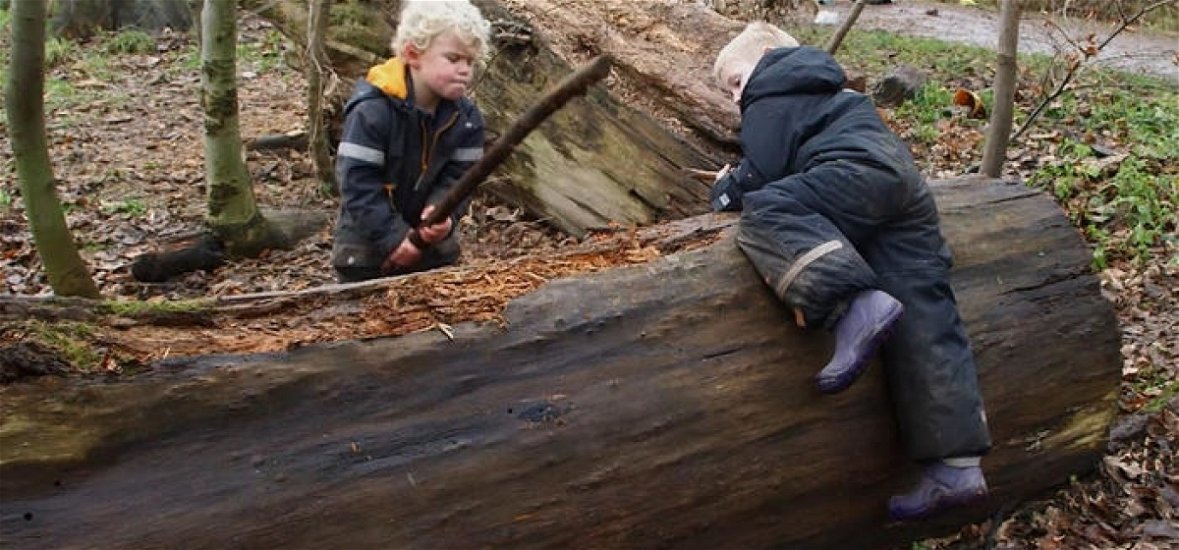 Gyerekek a vadonban: az erdei óvodák