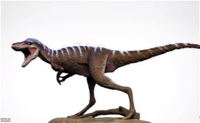 Egy fosszília, mely megváltoztatja a T-rex-ről alkotott gondolkodást