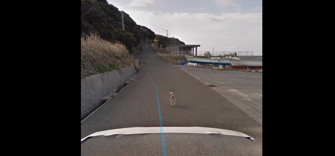 Tudja, mi történik, ha egy kutya megkergeti a Google kocsiját?