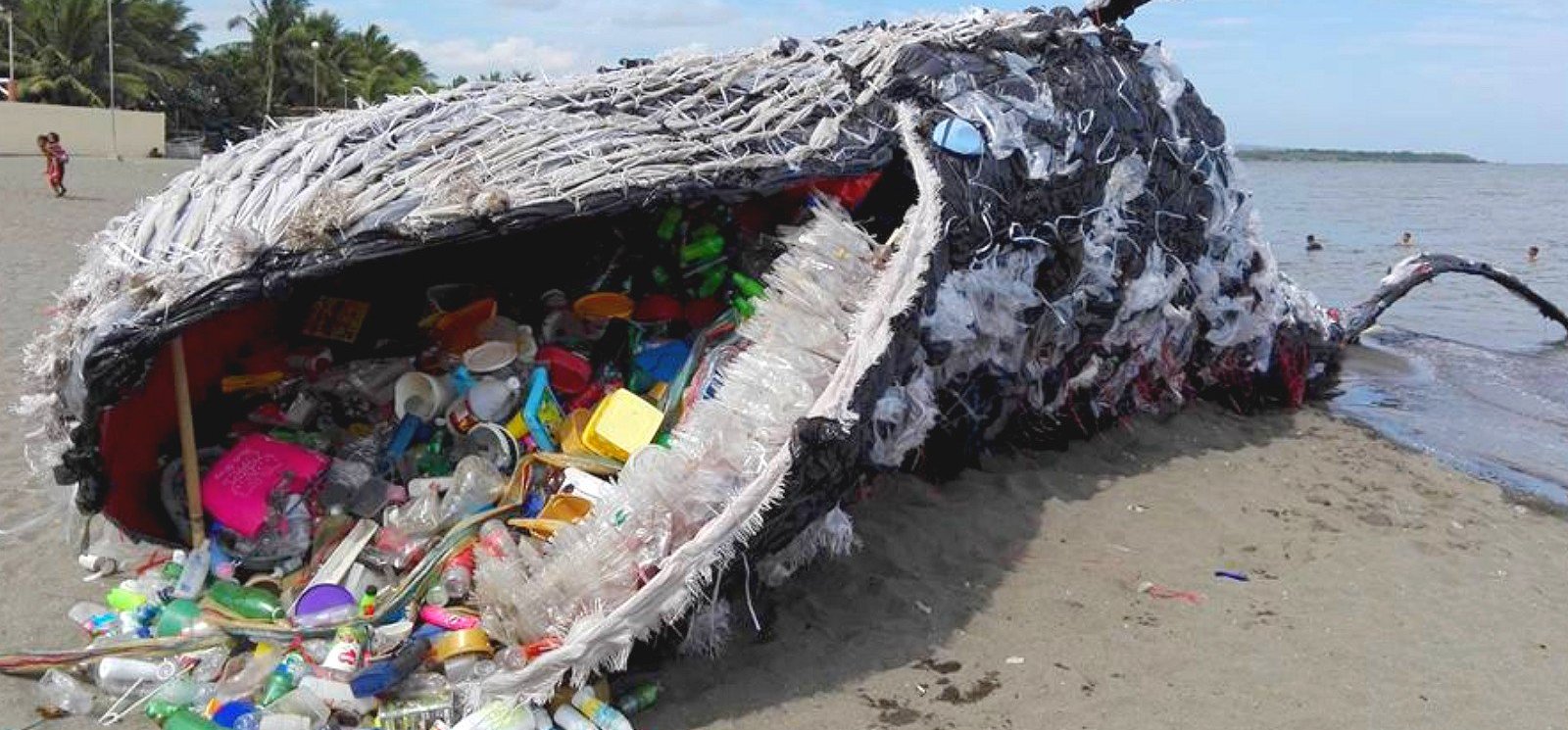 Soha ennyi műanyagot nem találtak egyetlen bálnában sem