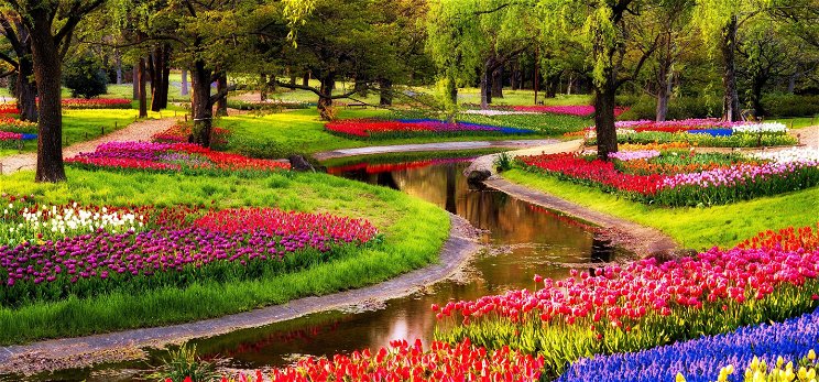 Hétmillió virággal nyílt meg a világ legnagyobb virágoskertje