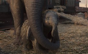 Dumbo: hogyan gyalázzunk meg ártatlan állatokat?