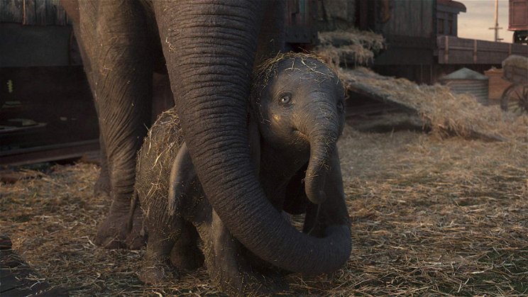 Dumbo: hogyan gyalázzunk meg ártatlan állatokat?