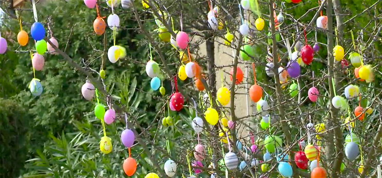 Eta néni 500 tojással díszítette fel fáját Húsvétra