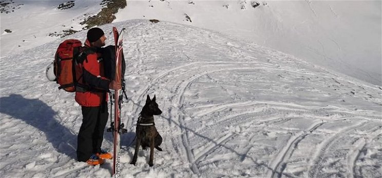 Kiállta a próbát Székelyföld egyetlen lavinamentő kutyája