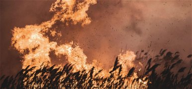 Videón mutatták be a tűzoltók harcát a hatalmas hazai nádtűzzel