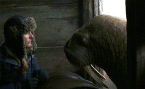 Attenborough a természetfilmek legdrámaibb jelenetével figyelmeztet