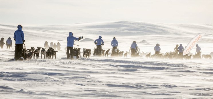 Magyarok is nekivágtak a sarkvidéknek kutyaszánnal