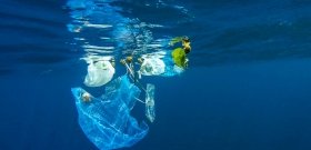Attenborough hatására milliók válnak meg a műanyagtól