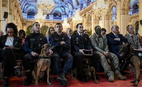 Hős kutyákat tüntettek ki Franciaországban
