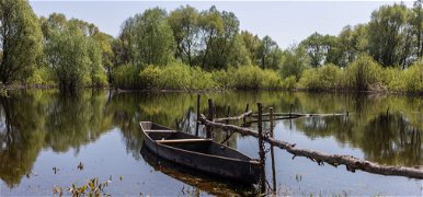 Rövid időn belül 400 ezer csukát engedtek a Tisza-tóba