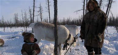 A fehér szarvas: világhírű természetfilmesünk új filmjének trailere