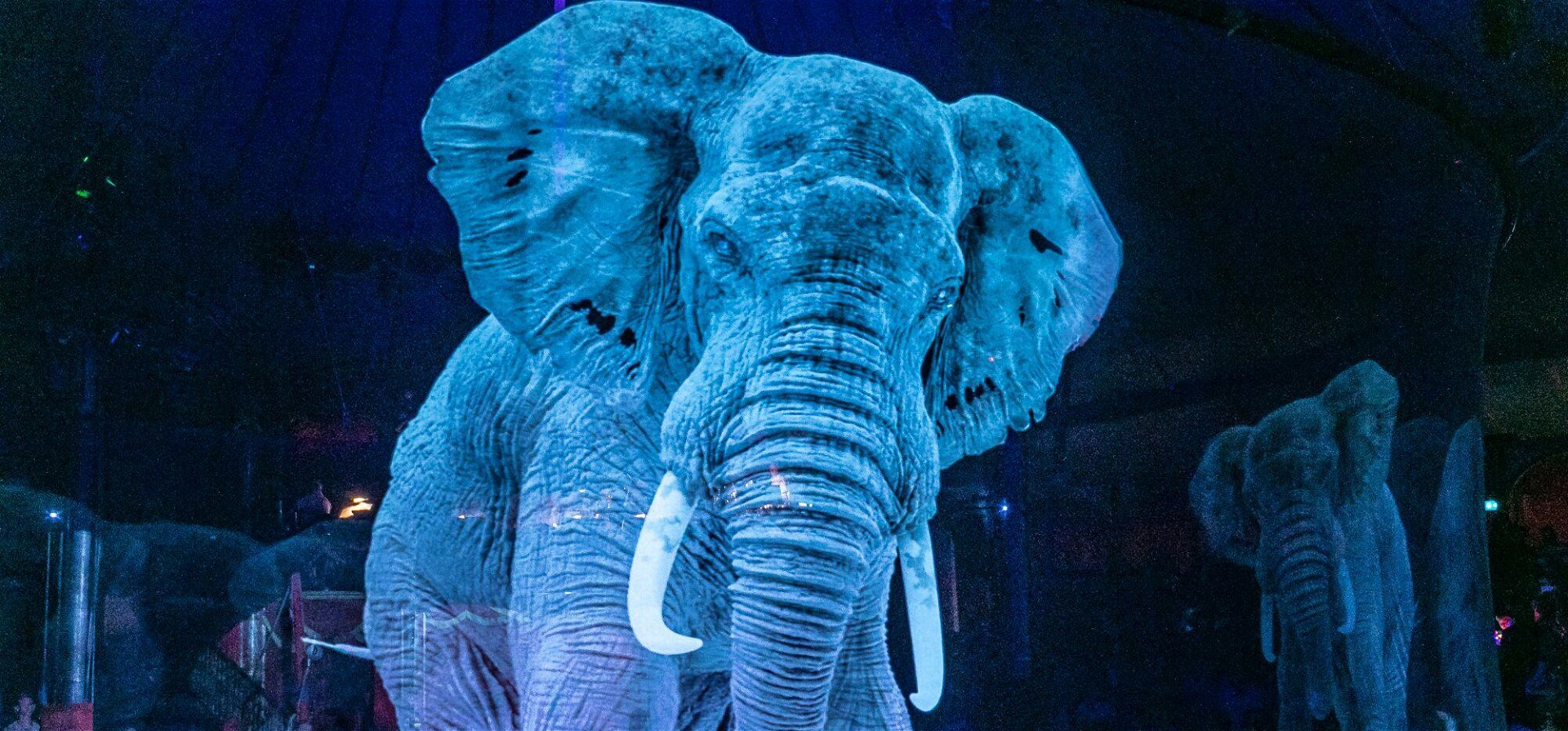 Egy német cirkusz valódi helyett hologram állatokat használ – elképesztő látvány