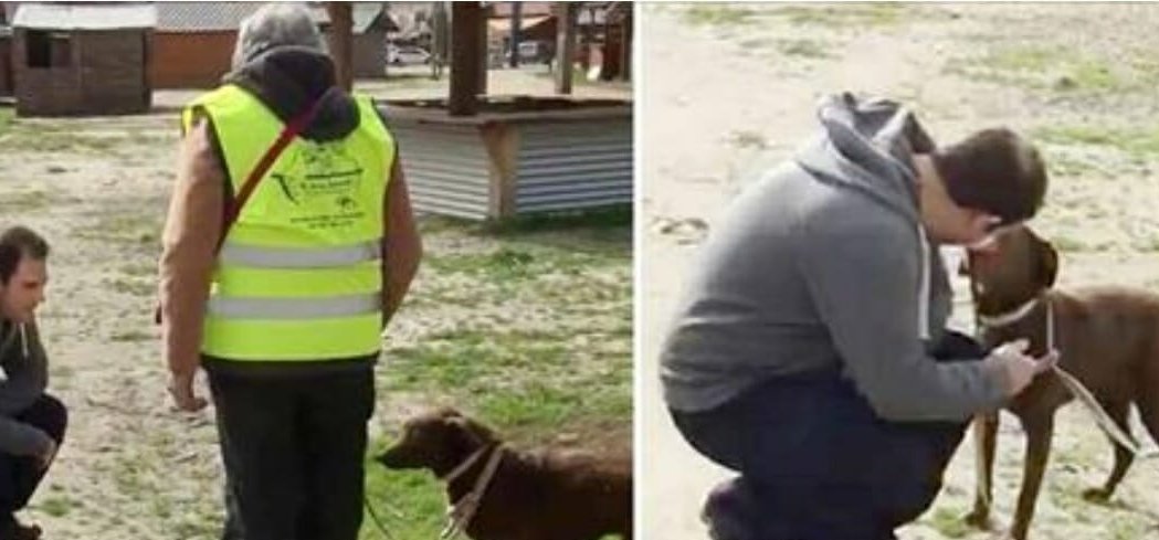 Két év után talált rá elvesztett kutyájára a férfi – látni kell az állat örömét