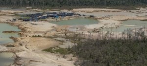 Luxemburgnyi területű erdőt vágtak ki csak júliusban az Amazonasban