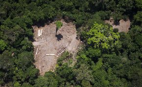Avatar a Földön: kegyetlen tempóban irtják tovább az Amazonas erdőit