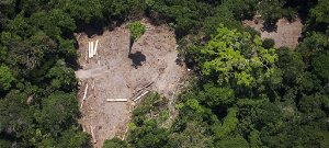 Avatar a Földön: kegyetlen tempóban irtják tovább az Amazonas erdőit