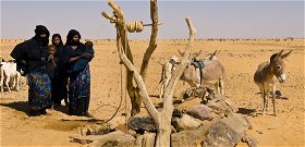 A Szahara veszélyeztetett állatai isszák meg a kínai olajkutak levét
