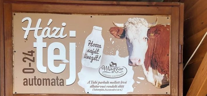 Egy magyar faluban éjjel-nappal működő tejautomatát nyitottak