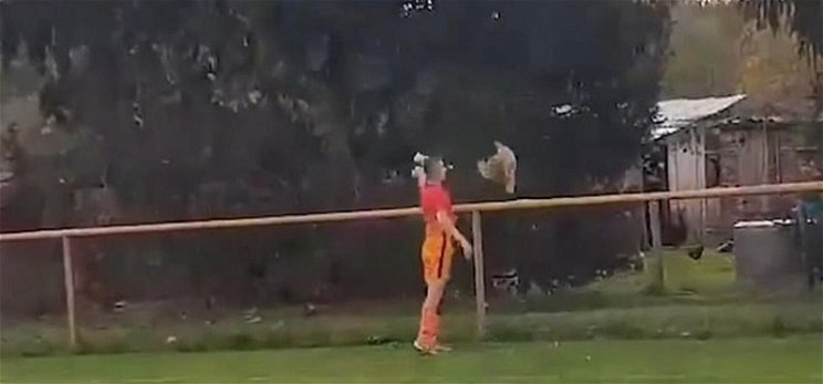 Meccs közben rugdosott halálra egy csirkét, kiállították – videó