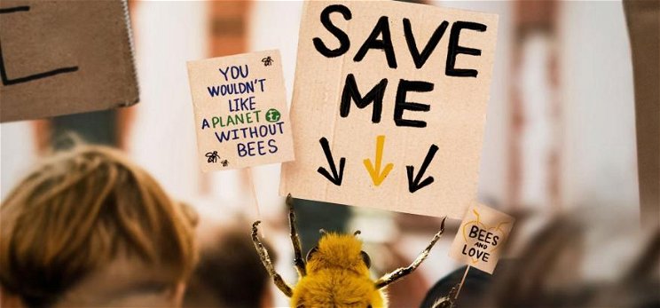 Itt a világ első méhecske influencere – nemes célért küzd