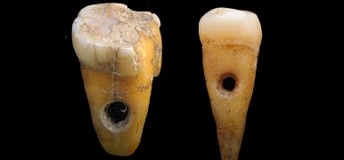 Ékszerként használt, 8500 éves emberi fogakat találtak