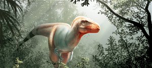 Egy teljesen új dinoszauruszfajt fedeztek fel – videó