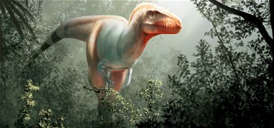 Egy teljesen új dinoszauruszfajt fedeztek fel – videó