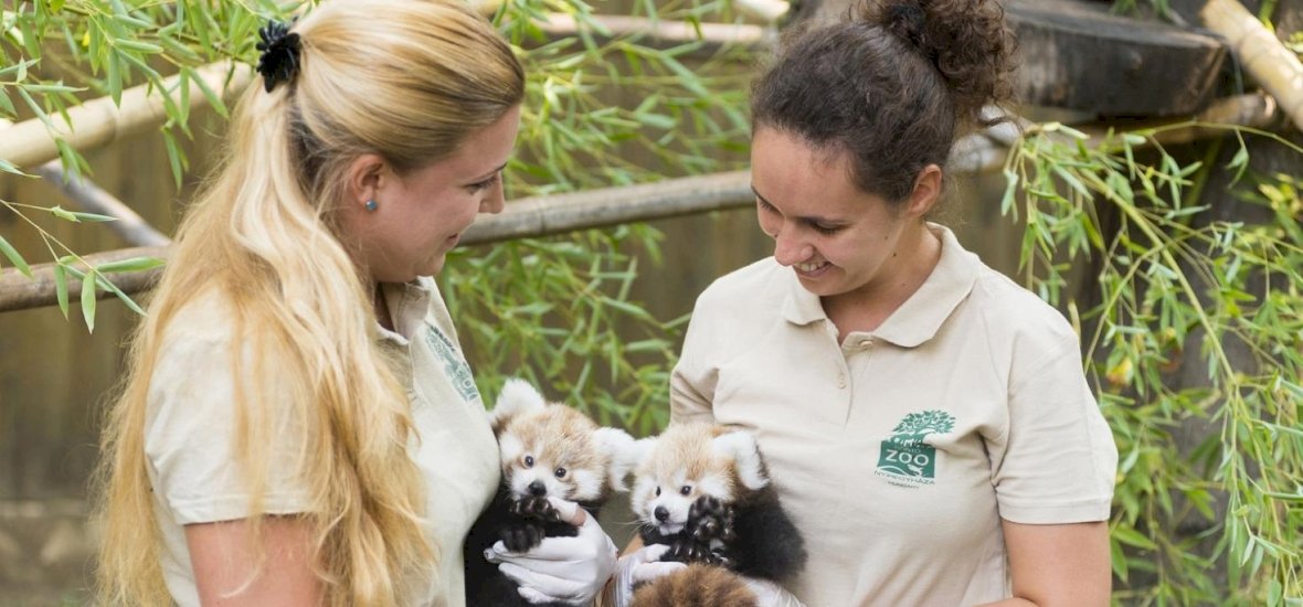 Állati udvarlás – bemutatják a Nyíregyházi Állatpark dolgozói