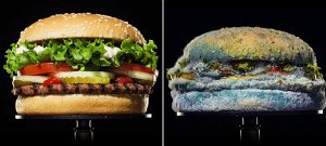 A Burger King penészes kajával kampányol 