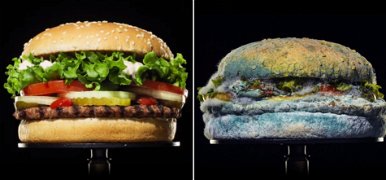 A Burger King penészes kajával kampányol 