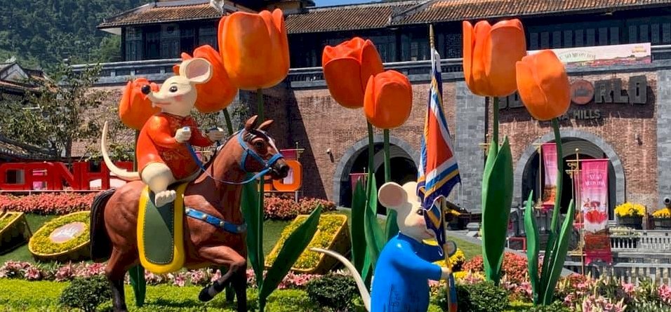Zsolt utazása: a Hollandiát idéző tulipánkert Vietnámban – galéria