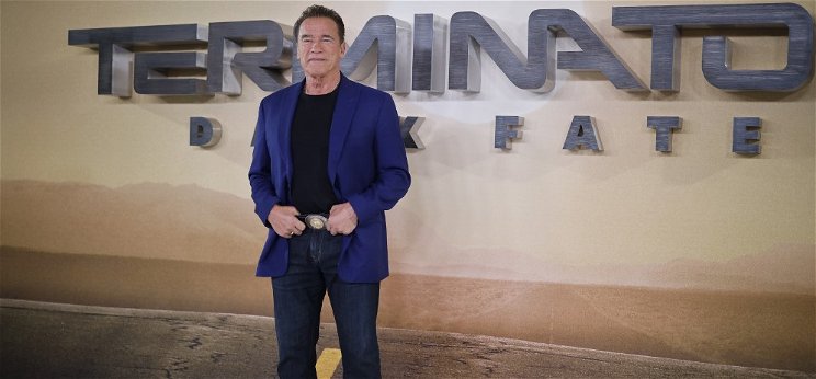 Tízmillió dollárra perli a robot Schwarzeneggert az igazi