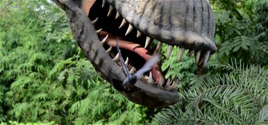 „Ahogy a Jurassic Parkban mondják, a természet mindig utat tör magának” – videó