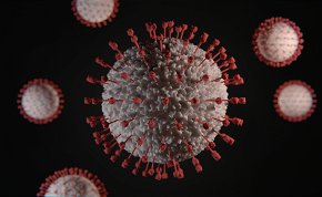 Júniusra ígéri a koronavírus elleni vakcinát egy orosz labor