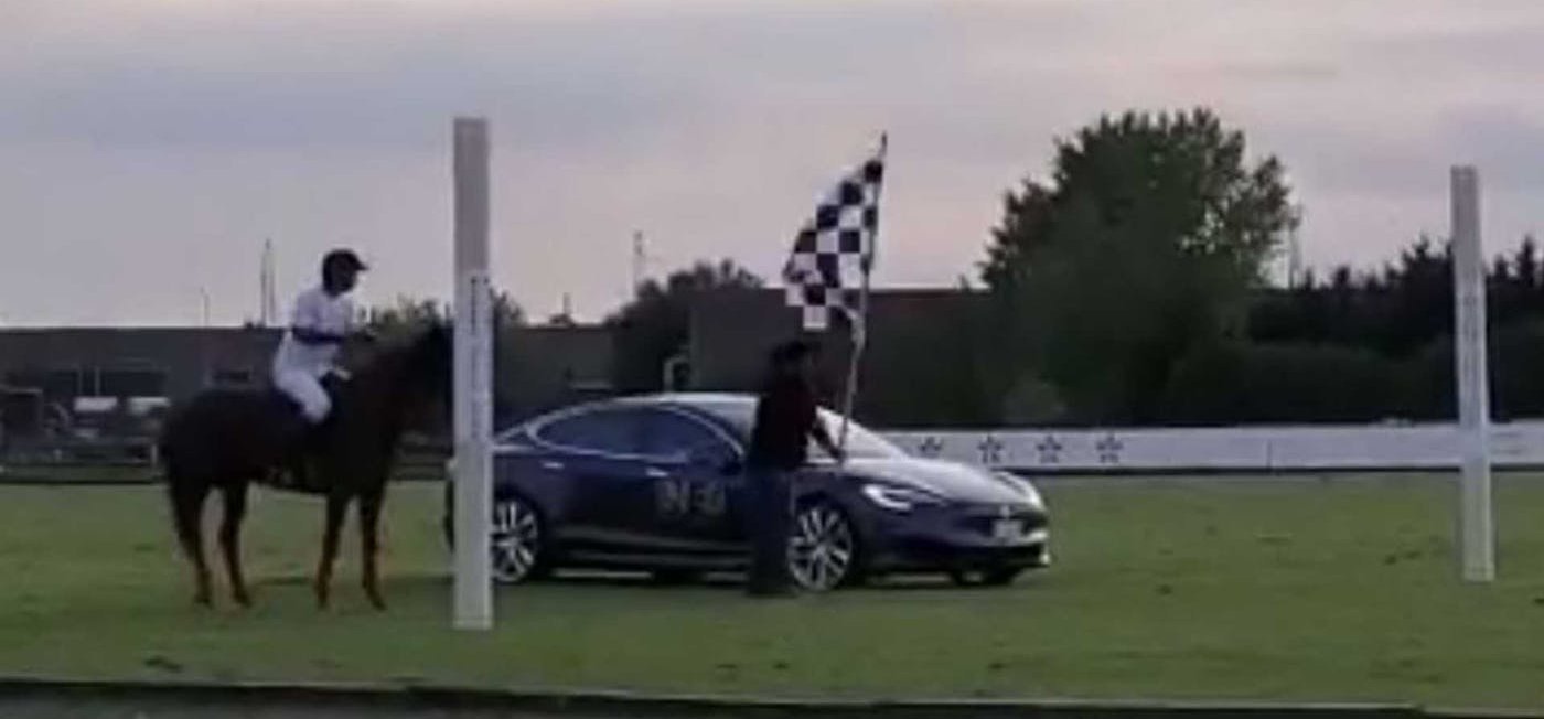 Egy ló lefutott egy Tesla S modellt – mutatjuk az őrült versenyt