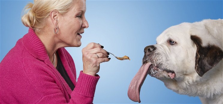 A leghosszabb nyelvű kutya olyan, mintha kígyót eregetne a szájából, mikor nyal