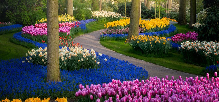 Csodálatos látvány: a világ legszebb kertje nem csak a szemedet babonázza meg – videó