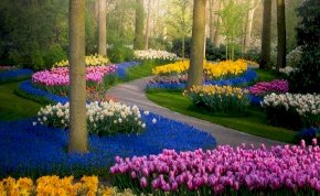 Csodálatos látvány: a világ legszebb kertje nem csak a szemedet babonázza meg – videó