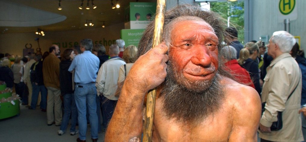 Hihetetlen, de ez okozhatta a neandervölgyi ember kihalását