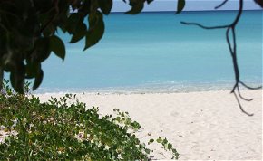 Hiába nyűgöz le Barbados szépsége, ha nem vigyázol, akkor jól megjárod! – galéria