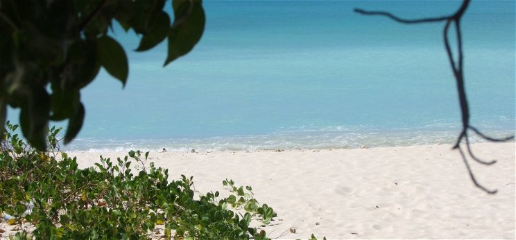 Hiába nyűgöz le Barbados szépsége, ha nem vigyázol, akkor jól megjárod! – galéria