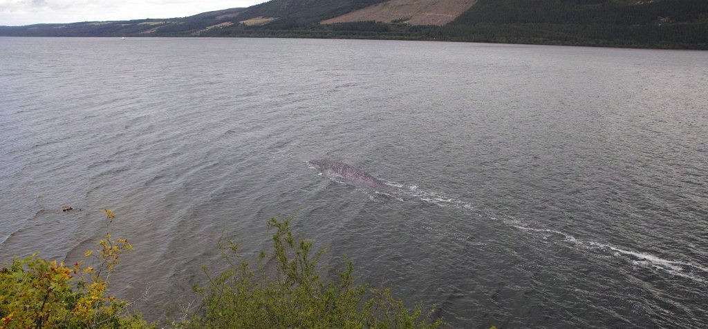 A Loch Ness-i szörny: megfejtették, hogy mi látható a legújabb képen