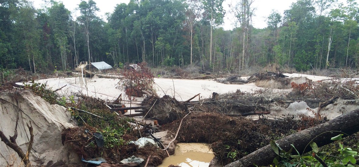 Az aranybányászat jelentősen korlátozza Amazónia erdőinek megújulóképességét