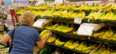 Banándráma: egy eladó hihetetlen állatot talált a gyümölcsök között