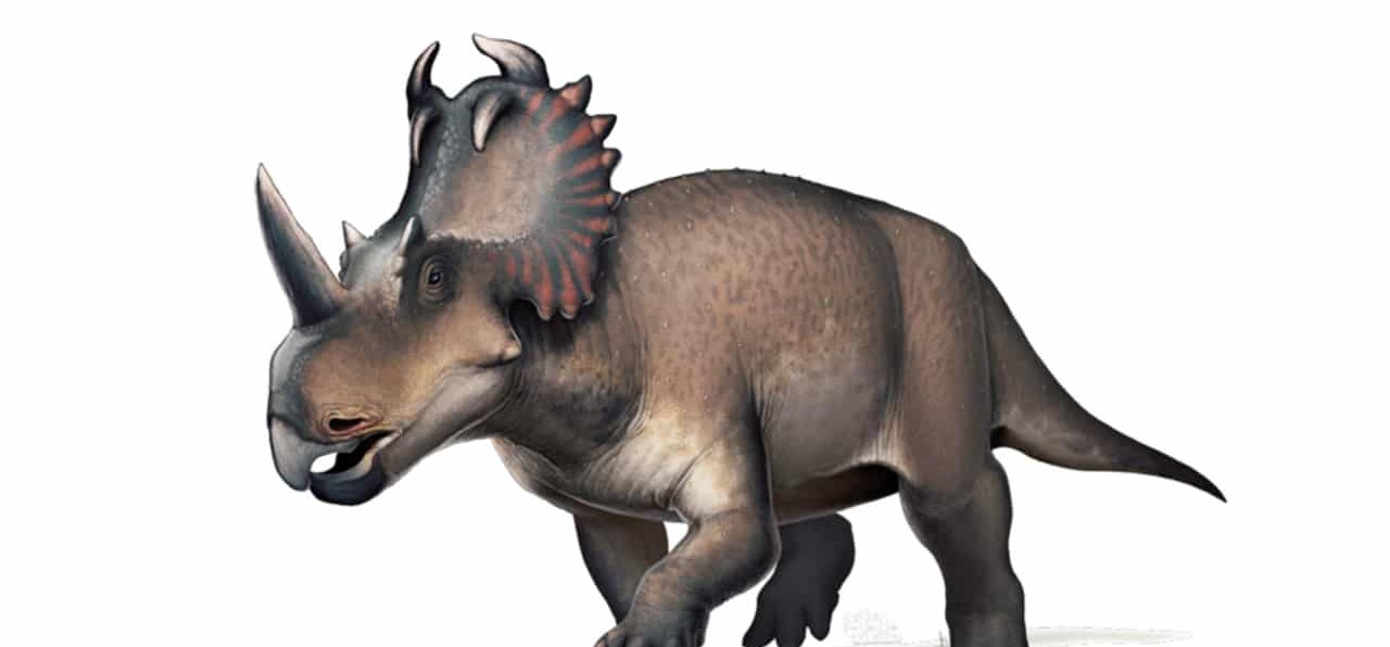 Megtalálták az első dinoszauruszt, aki rosszindulatú rákban szenvedett