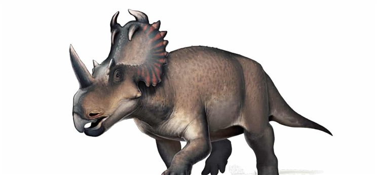 Megtalálták az első dinoszauruszt, aki rosszindulatú rákban szenvedett