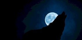 Miért ugatják a kutyák a Holdat?